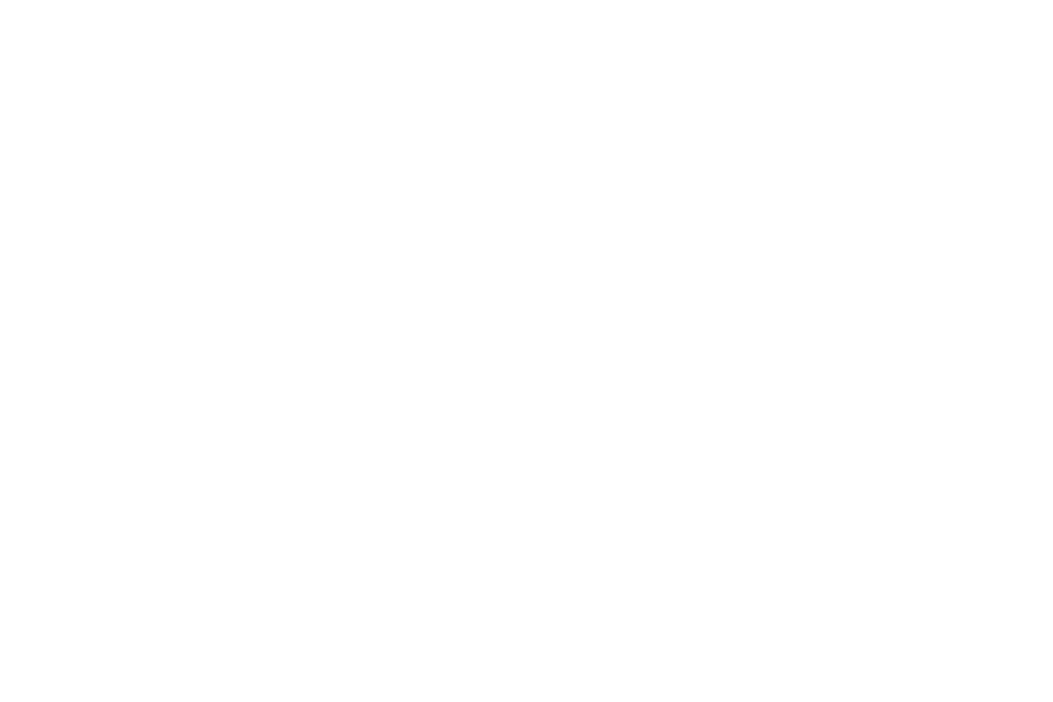 the white gecko Logo