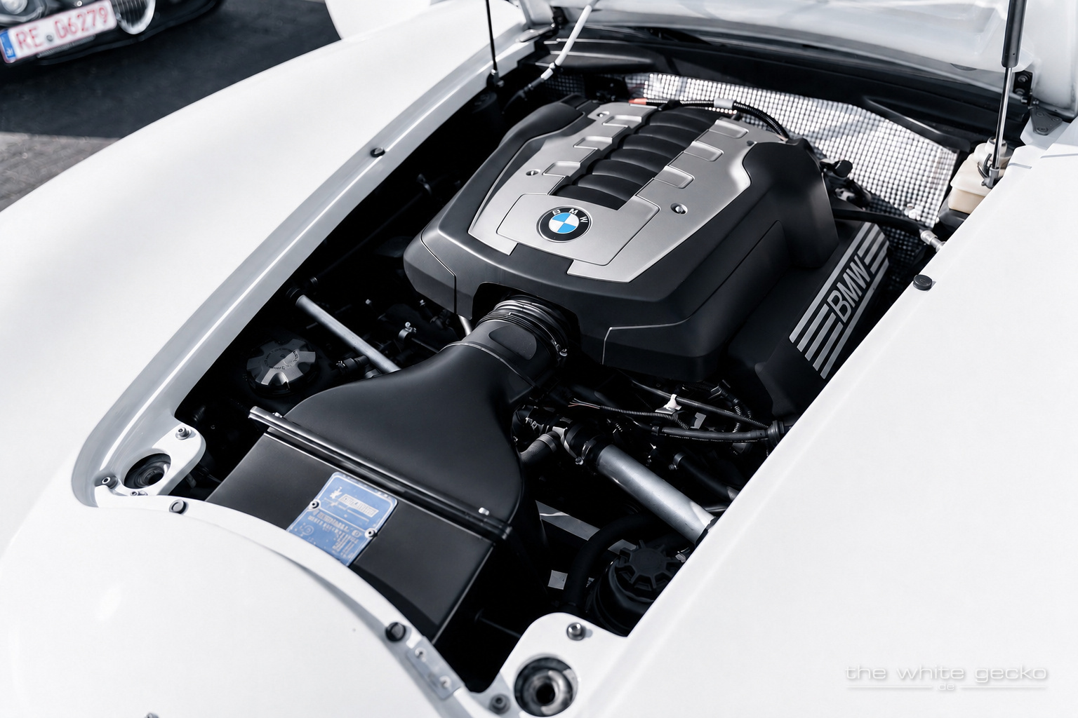BMW V8-Motor im Motorraum des weißen Wiesmann MF4 GT No.180