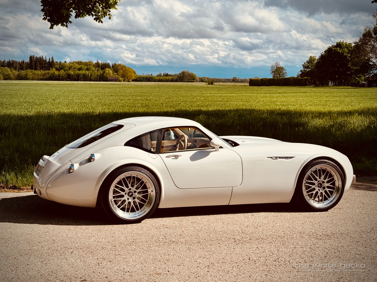 Seitliches Profil des weißen Wiesmann MF4 GT No.180 vor grünem Feld und dramatischem Himmel